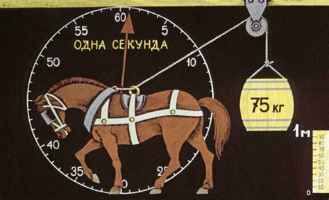 Что такое лошадиная сила, почему она равна лошадиной площади и при чем ...