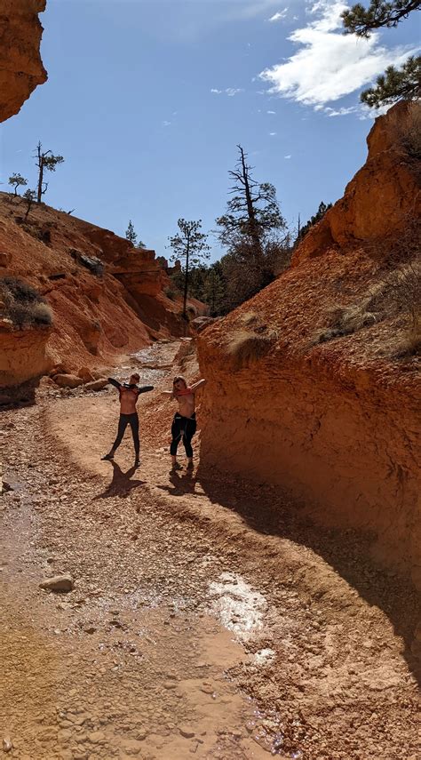 Gone Wild: Nature Edition | Scrolller