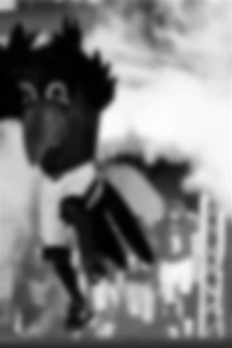 Ravens Mascots | Baltimore Ravens – baltimoreravens.com