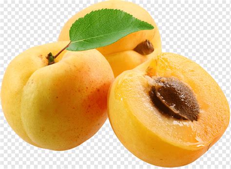 Fruta Amarela Com Caroço - Fruta Amarela Pequena Com Caroço - RETOEDU