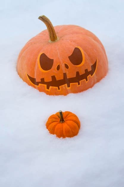 Premium Photo | Pumpkins in the snow