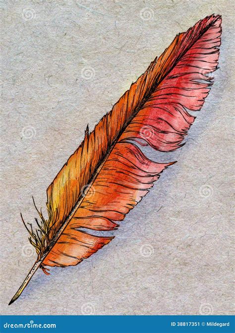 phoenix feather  fractal art stock photography cartoondealercom