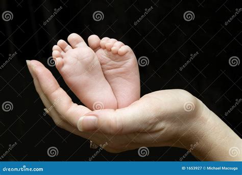 weeks  stock image image  infant fingers babies