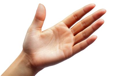 hand texture stock  images  backgrounds
