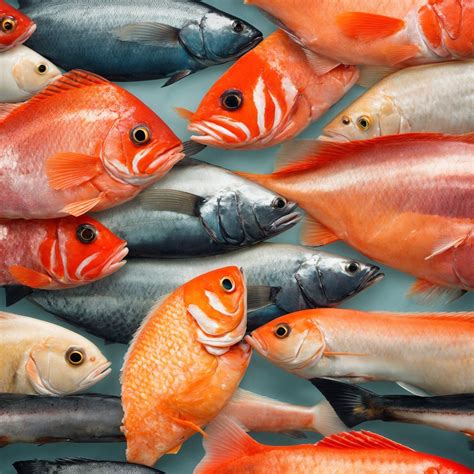 Dry Aged Fish vs. Fresh Fish – A Flavor & Texture Comparison