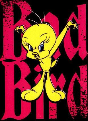 Tweety Bird, Bad Bird - Tweety Bird Photo (5953201) - Fanpop