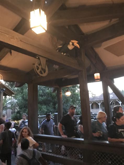 Never noticed this aa bird at the top of the stairs in the que for