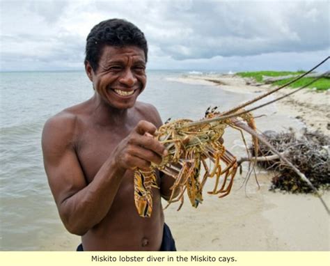 Inca's and Miskito/Mosquito Indian History