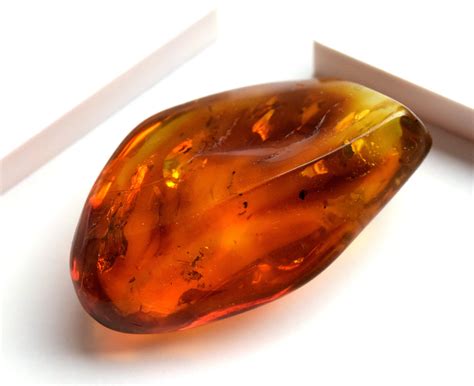 Amber Stone Beeville at Eusebia Horton blog