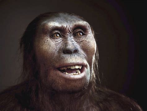 Australopithecus Afarensis Google Doodle « Schnurpsel