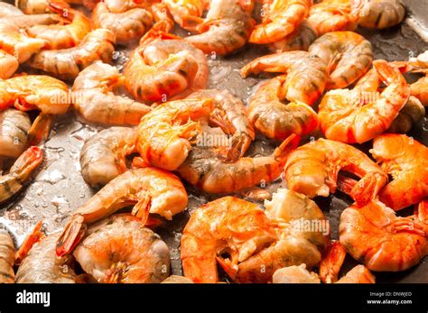 giant tiger prawn high resolution stock photography  images alamy