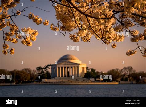 Washington, DC Cherry Blossom Festival Stock Photo - Alamy