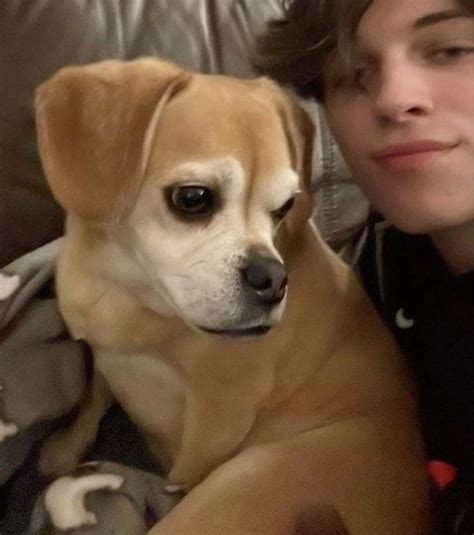 matt sturniolo | Triplets, Mattyb, Trevor