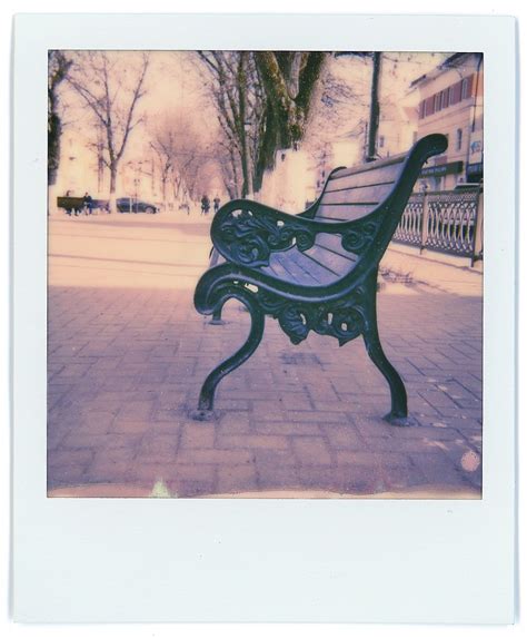 Про Polaroid Closeup 636 с примерами фото | Иди, и снимай!