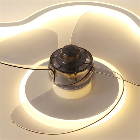 LED Ceiling Fan Light Modern Style 2 Lights with Silica Gel Shade for ...