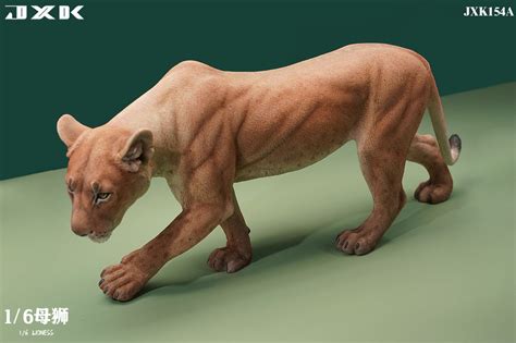 Lioness A | HLJ.com