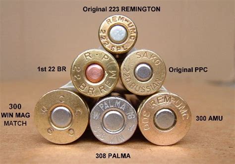 222 Rifle Bullets