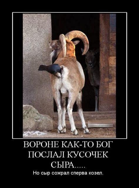 Логические парадоксы - Фото Дом Солнца