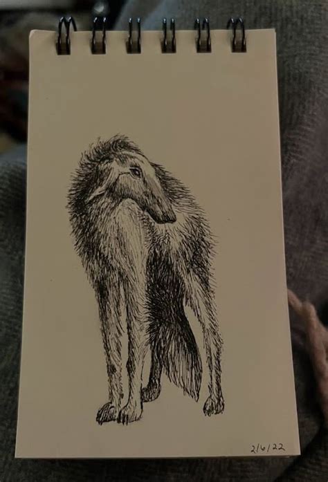 drawing samples irena roggeveen portfolio