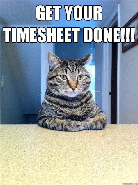 Get your Timesheet Done!!! - Chris Hansen Cat - quickmeme