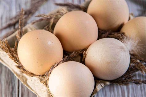 Яйцо: куриное, перепелиное, цесариное