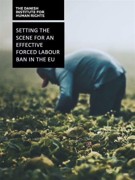 Setting the scene for an effective forced labour ban in the EU | The