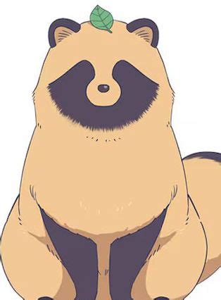 tanuki ame  kimi