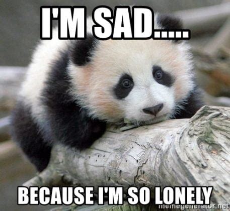 30 Lonely Memes That Will Make You Feel Less Alone - SayingImages.com