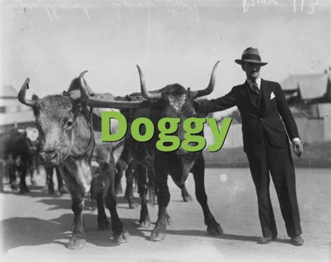 doggy meaning slangorg
