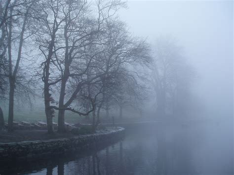 Image of misty day | CreepyHalloweenImages