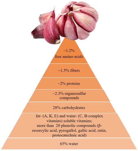 Garlic (Allium sativum L.) as an Ally in the Treatment of Inflammatory