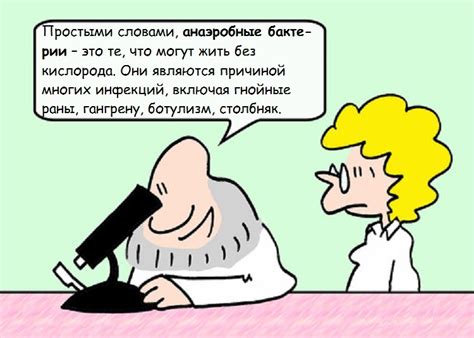 Анаэробные бактерии – классификация, примеры, инфекции