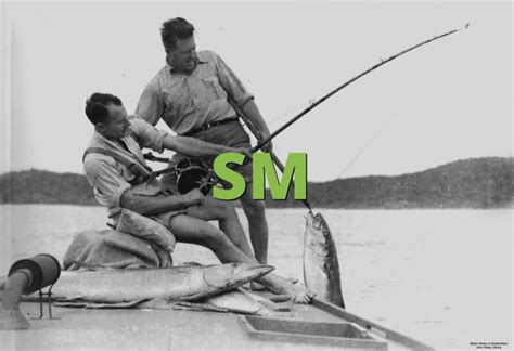 SM Meaning » Slang term definition & example usage » Slang.org