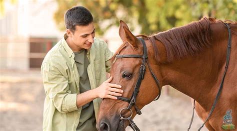 money  horses  profitable ideas