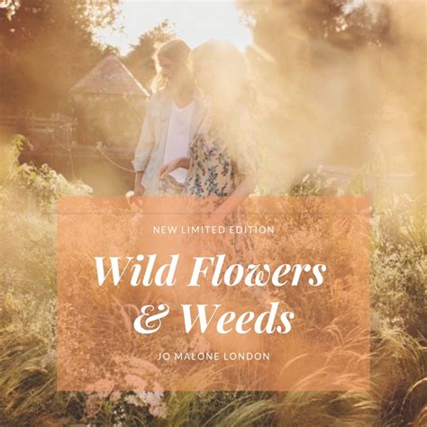 Jo Malone Wild Flowers & Weeds | Sandra‘s Closet