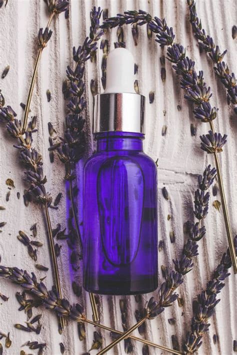 20 Incredible Lavender Essential Oil Uses | Avenly Lane