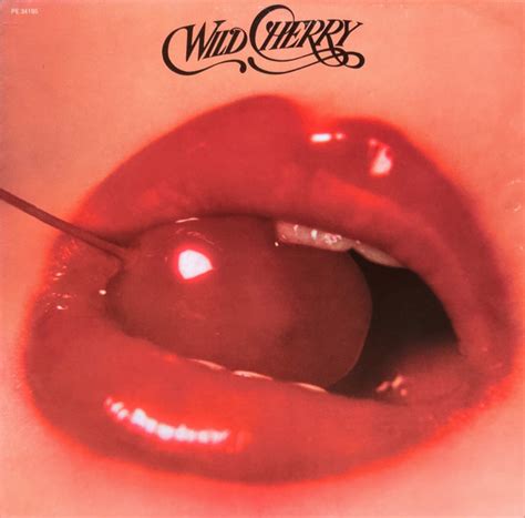 Wild Cherry – Wild Cherry (1976, Vinyl) - Discogs
