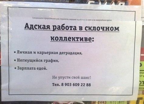 Самые необычные вакансии – ДеньгоДел.com