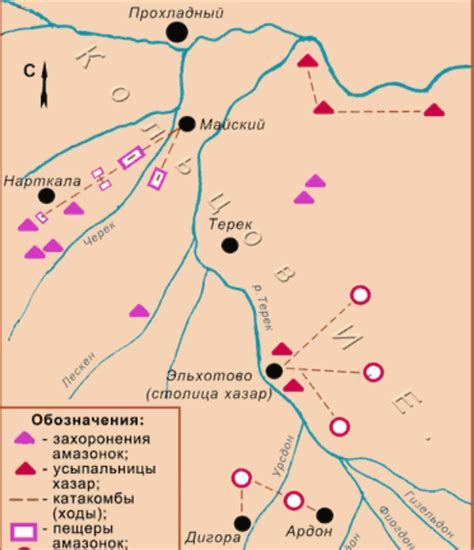 Амазонки | lemur59.ru