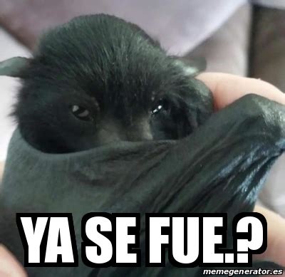 Meme Personalizado - ya se fue.? - 31512433
