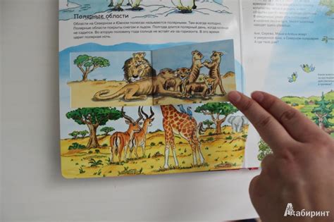 Книга: Земля - . Купить книгу, читать рецензии | Лабиринт