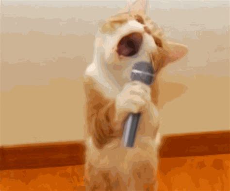 gifsoogif