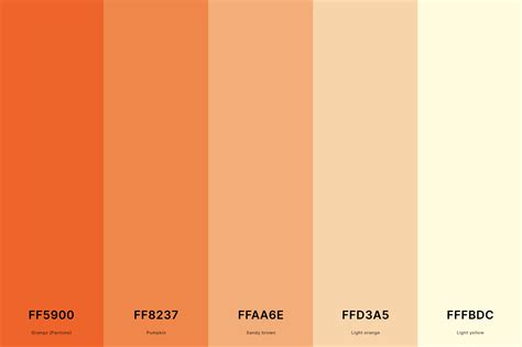 25+ Best Orange Color Palettes with Names and Hex Codes – CreativeBooster