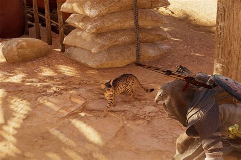 Assassin’s Creed Origins: This is how you pet cats - Polygon