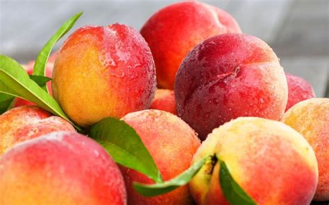 Fresh Peach, Packaging Size : 10-20kg at Rs 200 in Nandurbar - ID: 5675674