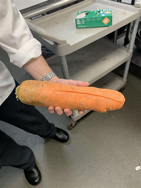 Absolute legend : r/AbsoluteUnits