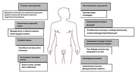 Андрология