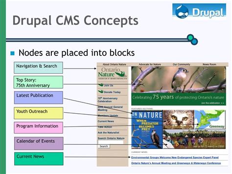 open source cms drupal overview powerpoint
