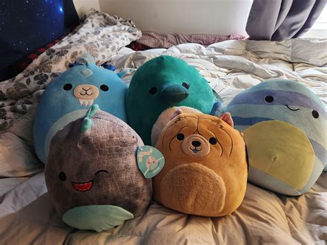 My newest babies! : r/squishmallow