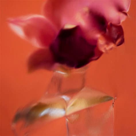 Could a Pheromone Perfume Help You Find The One?